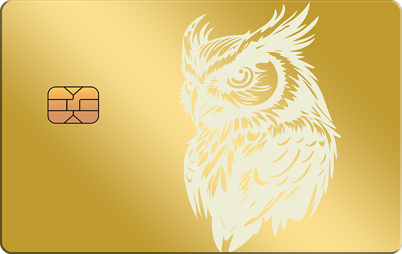 Owl 3